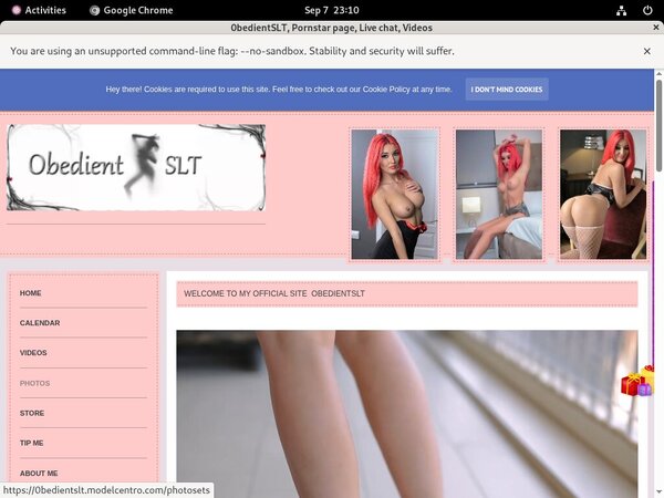 [Image: 0bedientSLT-Acc-Premium.jpg]