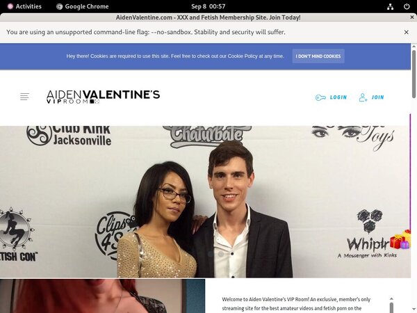 AidenValentine Password Blog