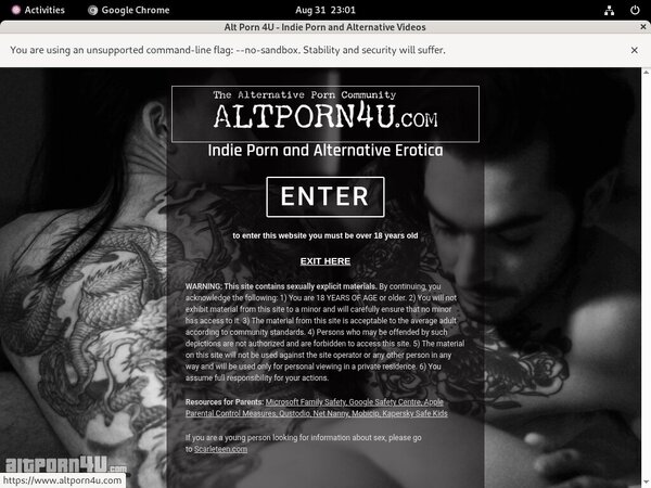 Alt Porn 4 U Probiller
