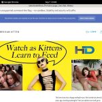 Americankitten.com Without CC