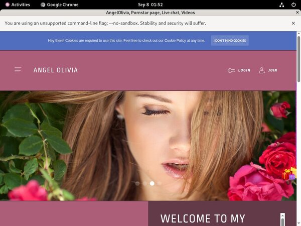 Angelolivia Accs