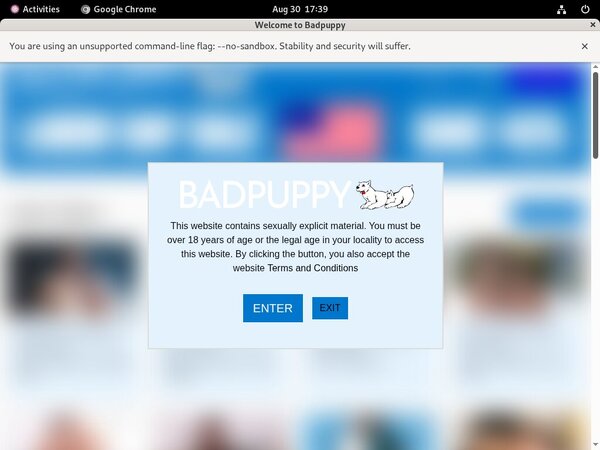 Badpuppy Trial Discount Offer