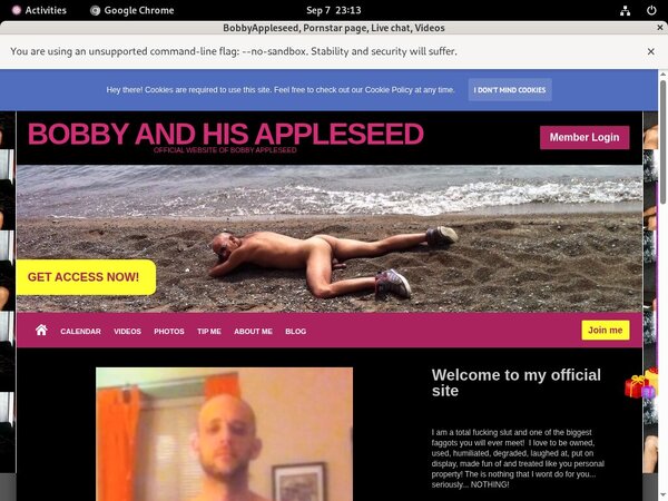 BobbyAppleseed Sex Movies