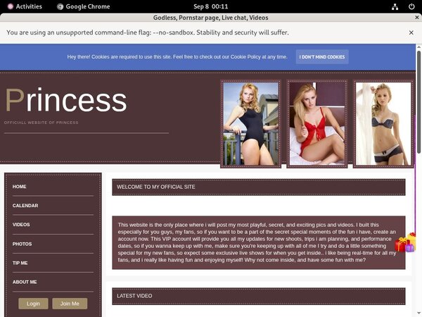 Cardboard.modelcentro.com Renew