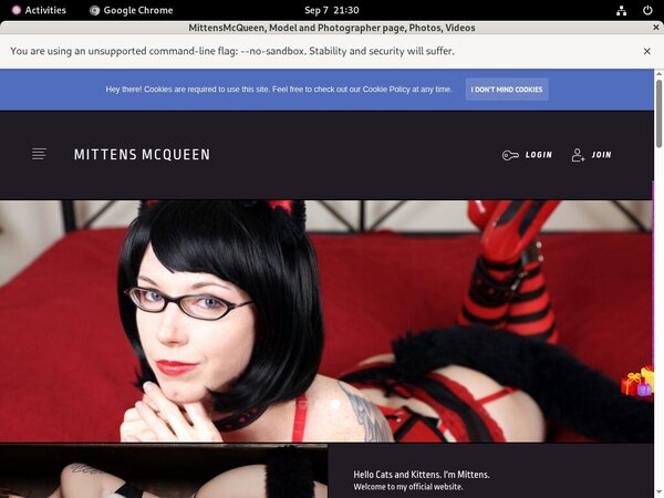 Com Mittensmcqueen Login Codes