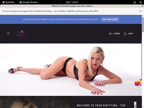 Dirtytina.site Pornstars
