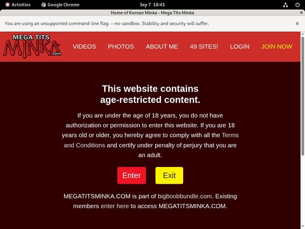 Discount Megatitsminka.com Free Trial