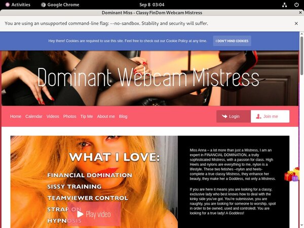 Dominant Miss - Classy FinDom Webcam Mistress Family