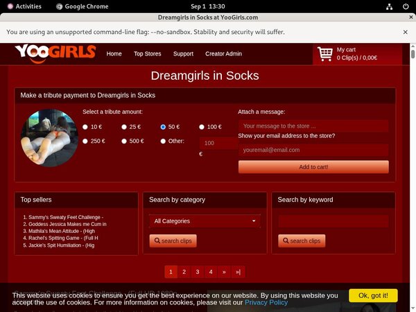 DreamgirlsInSocks Discount On Membership