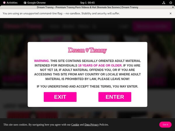 Dreamtranny.com New Movies Dreamtranny.com New Movies