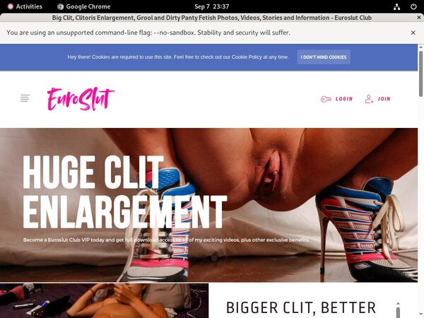 Euroslut Password Hack