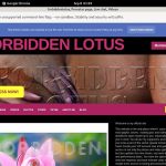 Forbiddenlotus Freeones
