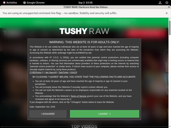 Free Tushy Raw Access