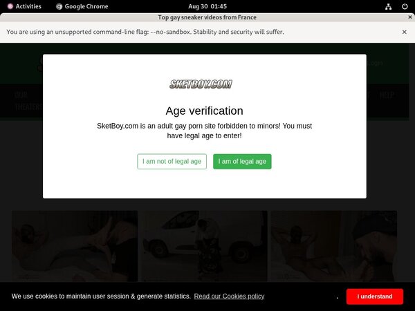 Free Working Sket Boy Accounts