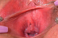 Gape My Pussy Girls s3