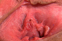 Gape My Pussy Purchase s0