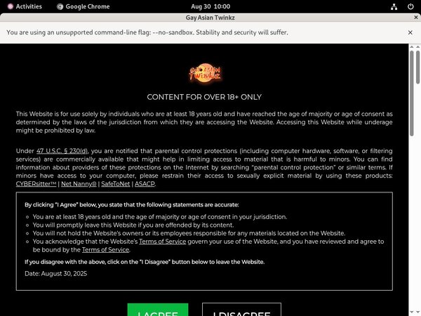 Gay Asian Twinkz Hack Account