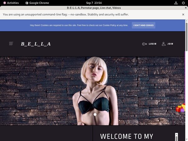 Get Free B-E-L-L-A Passwords