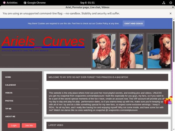 Get Into Ariel Free