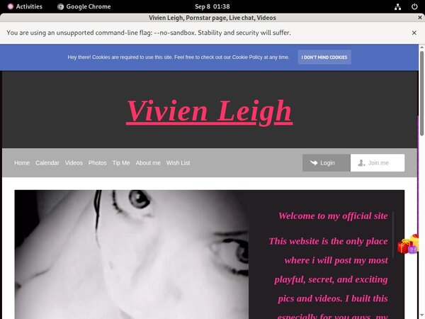 Get Vivienleighandme.modelcentro.com Discount Offer