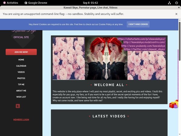 How To Get Kawaiiskye.modelcentro.com For Free