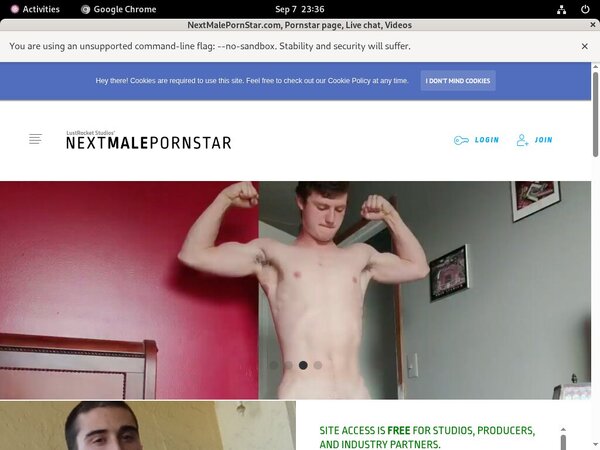 How To Get NextMalePornStar.com For Free