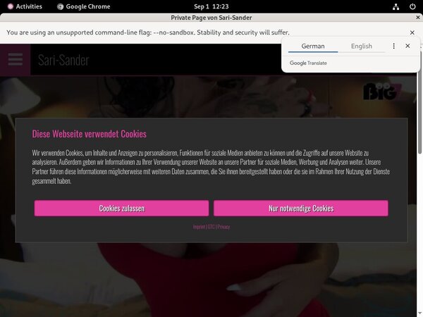 [Image: How-To-Get-On-SariSander-For-Free.jpg]