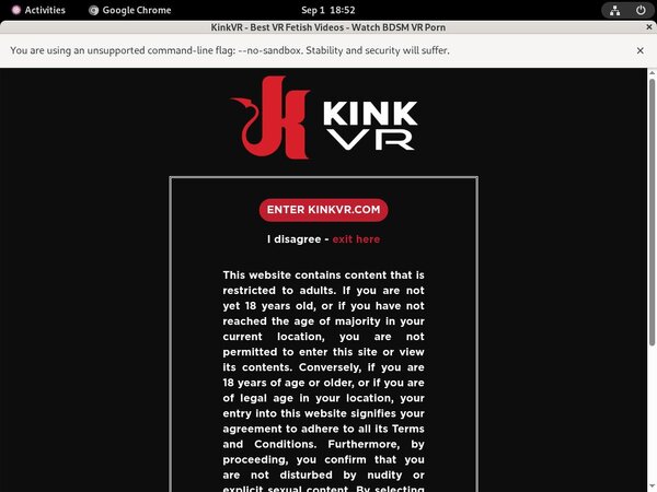 Kink VR Account Membership