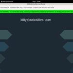 Kittyskuriosities.com Updated Passwords