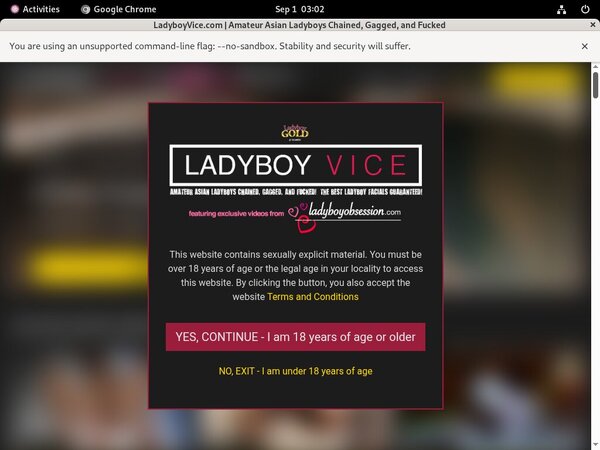 Ladyboy Vice Account 2014