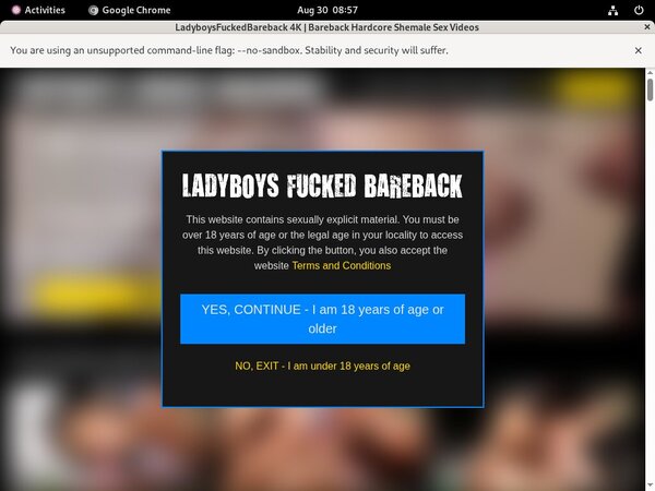 Ladyboysfuckedbareback.com Full Episode