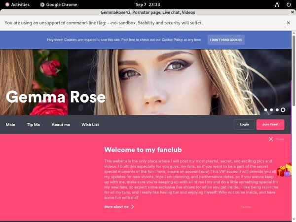 Login Gemmarose42.modelcentro.com Free