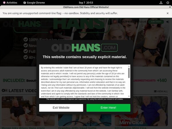 Old Hans Log In