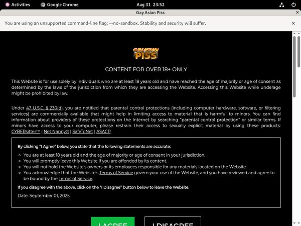 Password To Gay Asian Piss