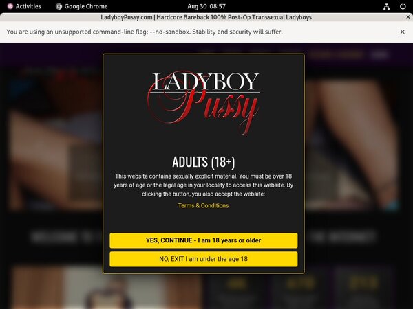 Pussy Ladyboy Discount Membership