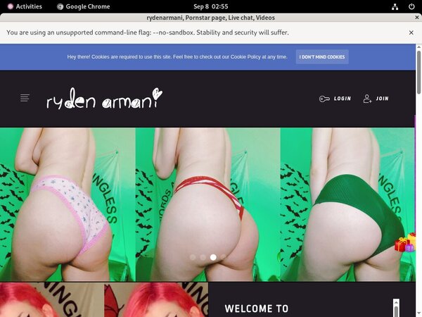 Rydenarmani.com Chat