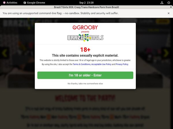 Sexy Brazil TGirls XXX