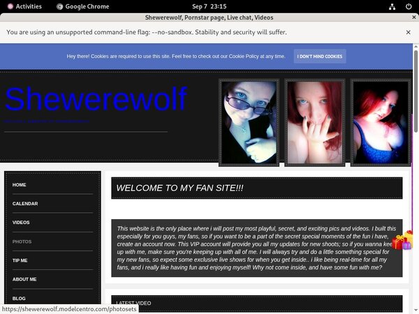 Shewerewolf Gay Sex