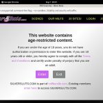 Silversluts Discount Limited