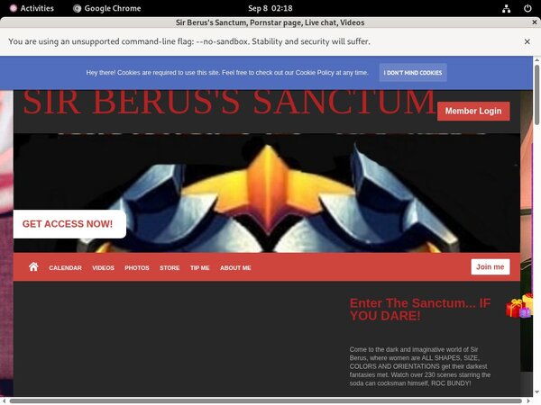 SirBerus'sSanctum Pass Codes