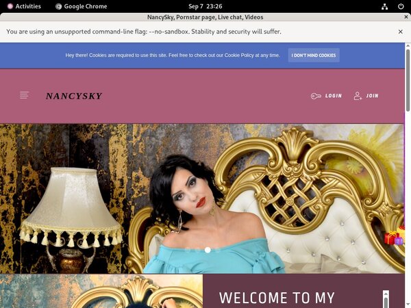 Subscribe To NancySky