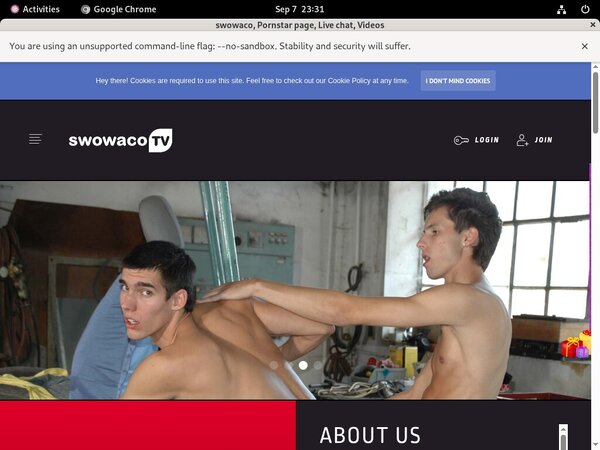 Swowaco Web Billing
