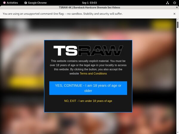 TS Raw Stolen Password