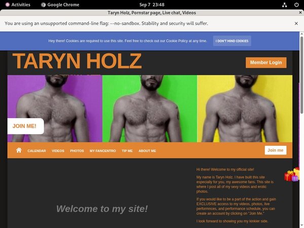 Tarynholz.modelcentro.com 2020