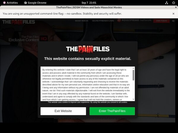 The Pain Files Passwords Accounts