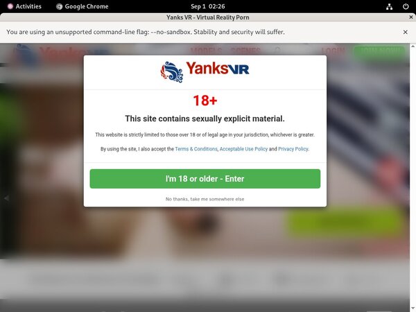 Yanks VR Passwords Blog