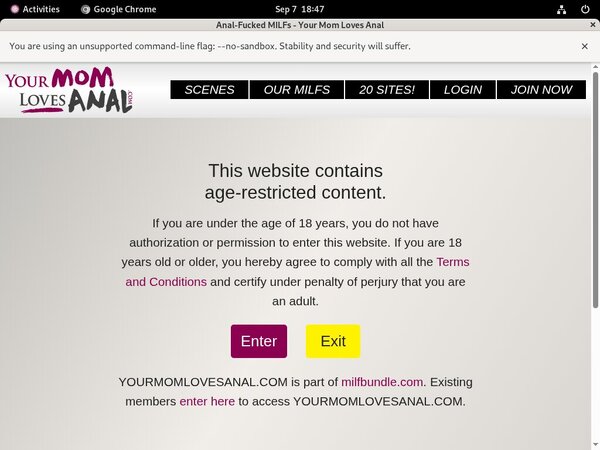 Yourmomlovesanal Premium Account Login