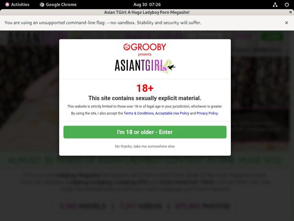 Gay Ladyboy-ladyboy.com