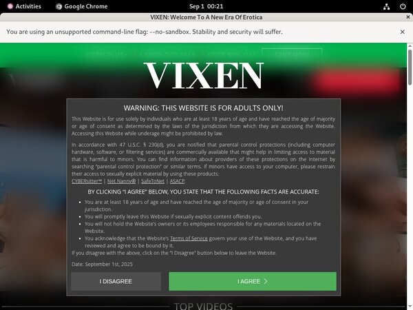 Free Vixen Username And Password
